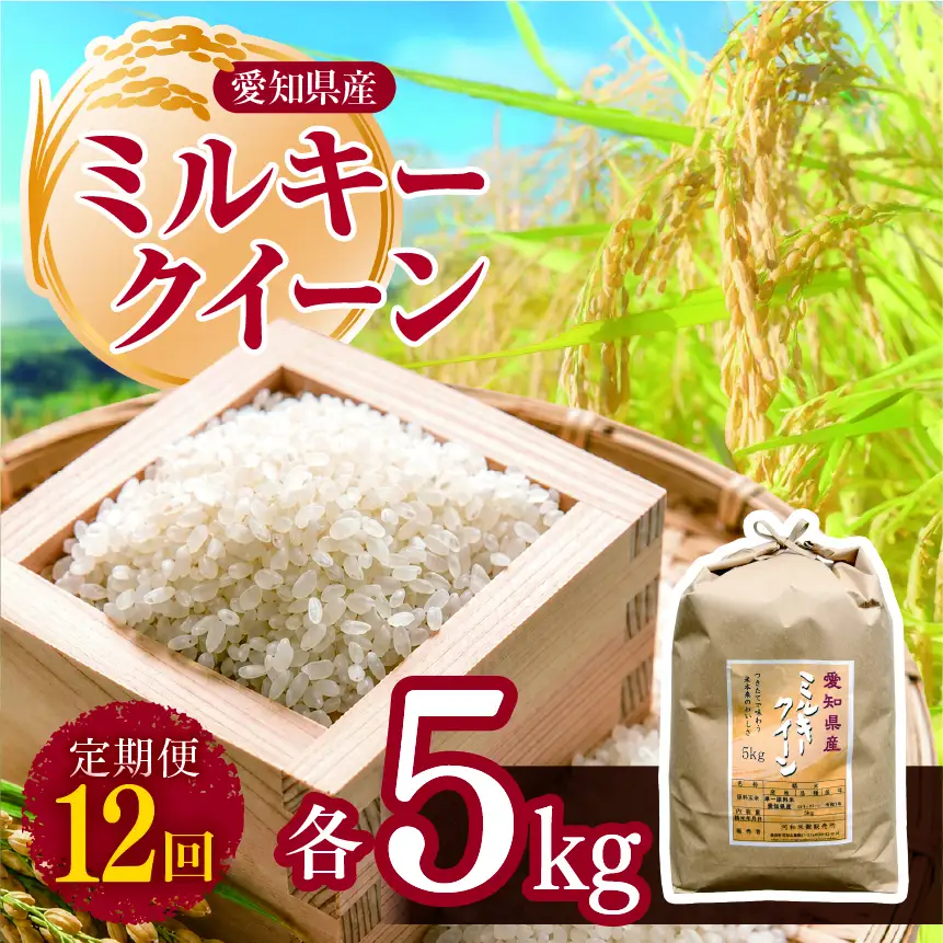 【 新米 令和8年産 】【定期便12回】愛知県産 ミルキークイーン 5kg | 米