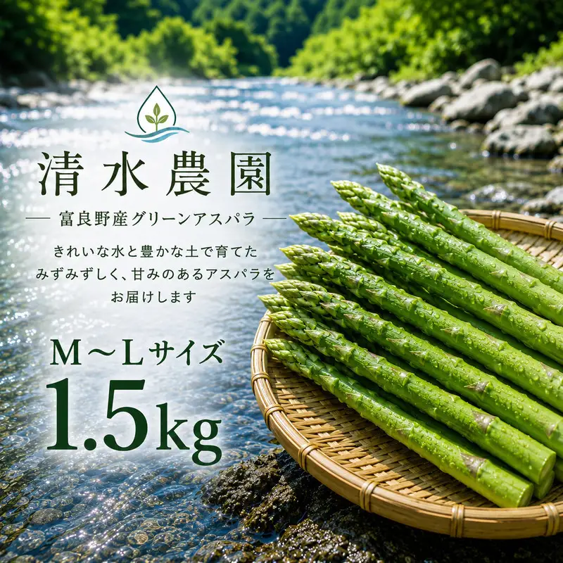 グリーンアスパラ M～Lサイズ 富良野産 アスパラ【約1.5kg】【先行予約】