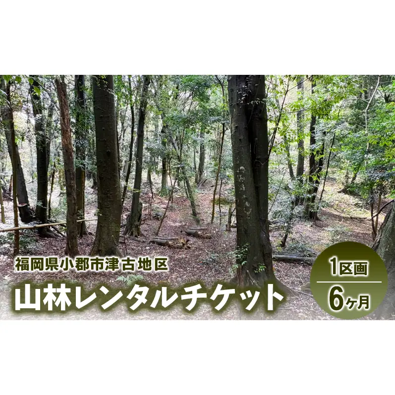 チケット 山林レンタルチケット 小郡市津古地区 1区画 6ヶ月
