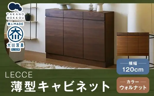 LECCE レッチェ 120薄型キャビネット ウォルナット 【 10年保証 】 キャビネット タンス 戸棚 棚 収納家具 収納 家具 インテリア 木材 木製 ウッド