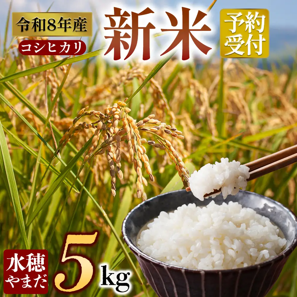 令和8年産　コシヒカリ 5kg　水穂やまだ グランプリ獲得 お米 米 人気 美味しい 弾力 粘り 食感 湧水 熊本 阿蘇