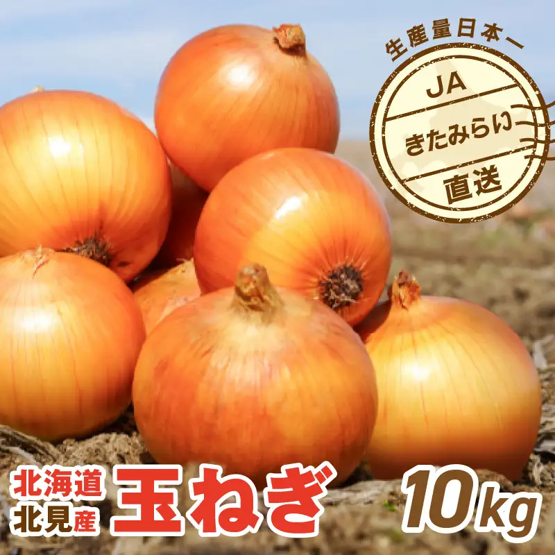 【予約：2027年4月～6月発送】JAきたみらい産 玉ねぎ Lサイズ 10kg 冷蔵 ( タマネギ たまねぎ 野菜 )【210-0005】