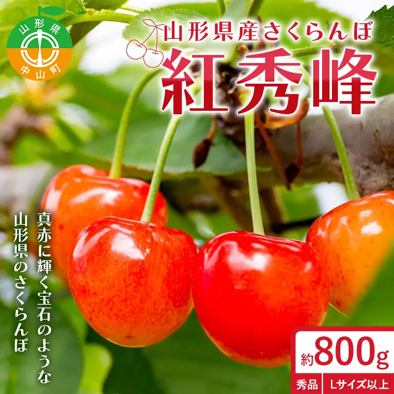 【令和9年産先行受付】山形県産さくらんぼ＜紅秀峰＞秀品　約800g(約200g×4P)　Lサイズ以上 果物 くだもの フルーツ 夏果物 サクランボ F4A-1041