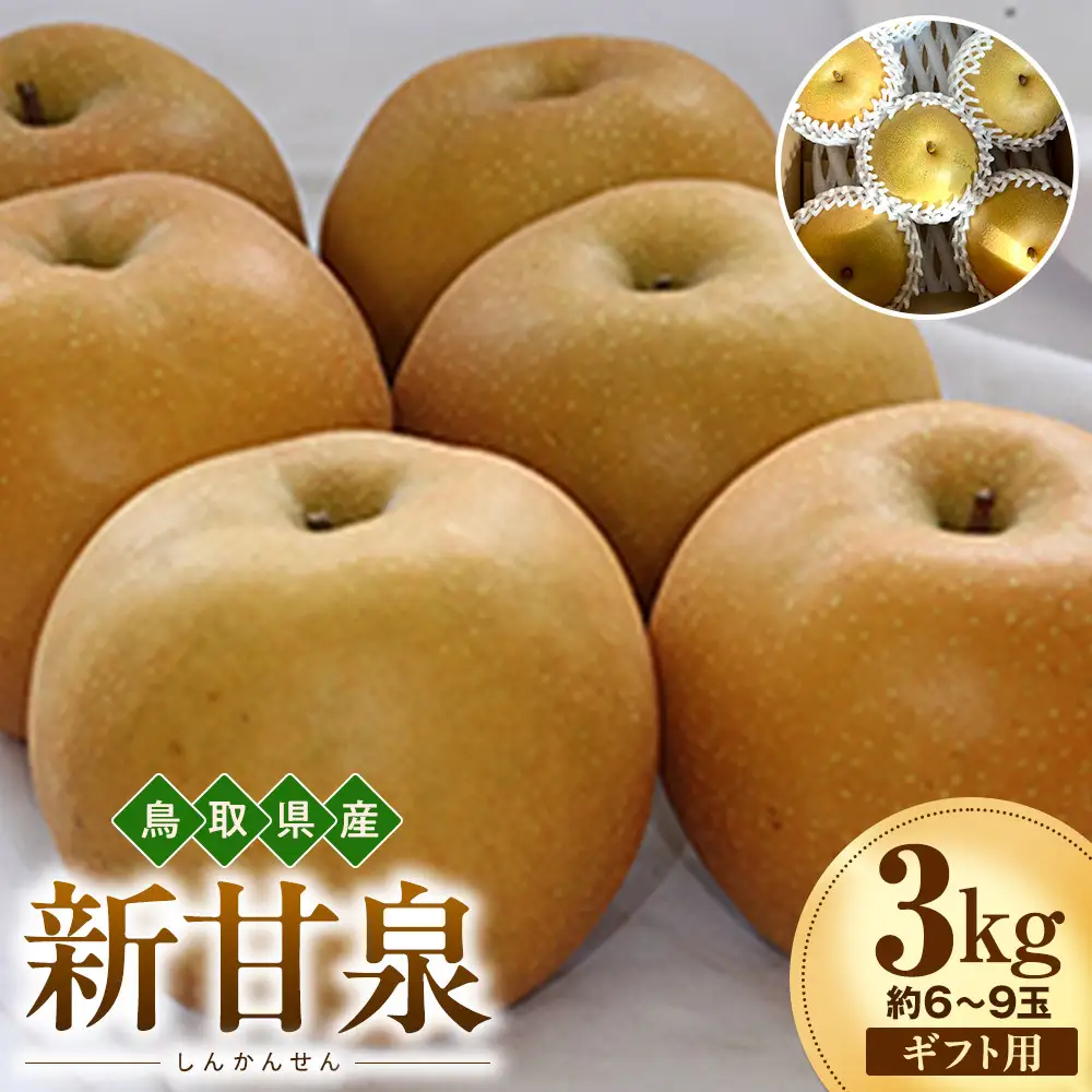 【2026年度先行予約】数量限定　鳥取県産　新甘泉 ギフト用　秀品 3kg(約6〜9玉)【8月20日以降発送】