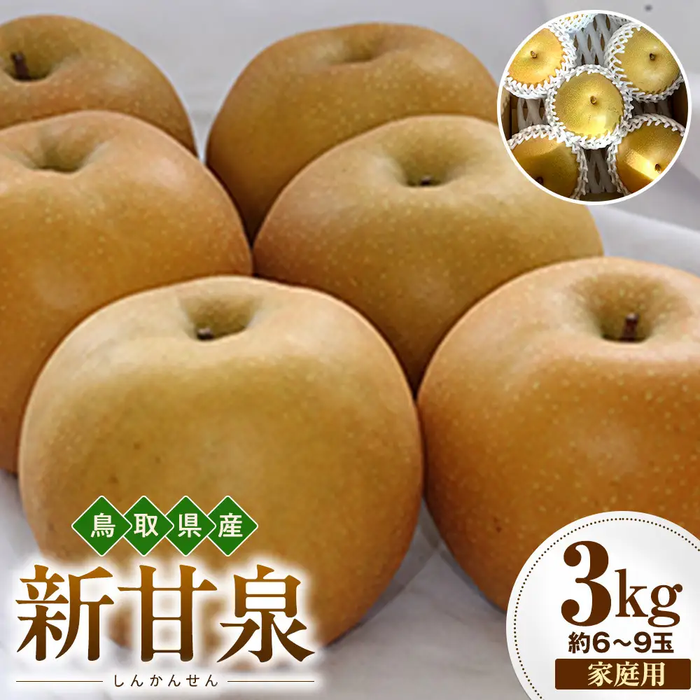 【2026年度先行予約】数量限定　鳥取県産　新甘泉 家庭用 3kg(約6〜9玉)【8月20日以降発送】