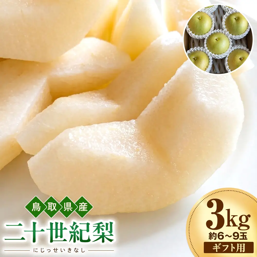 【2026年度先行予約】数量限定　鳥取県産　二十世紀梨　ギフト用　秀品 3kg(約6〜9玉)【8月20日以降発送】