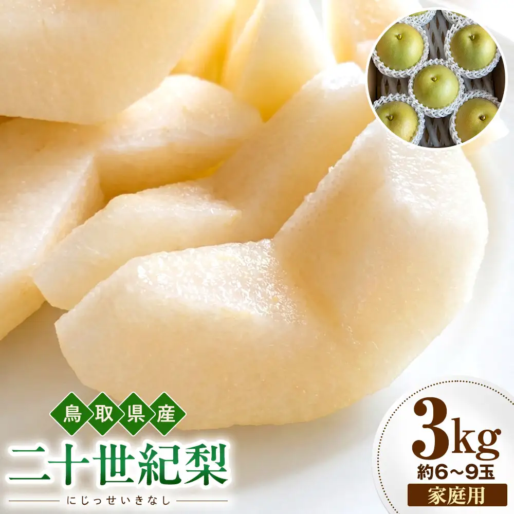 【2026年度先行予約】数量限定　鳥取県産　二十世紀梨　家庭用　3kg(約6〜9玉)【8月20日以降発送】