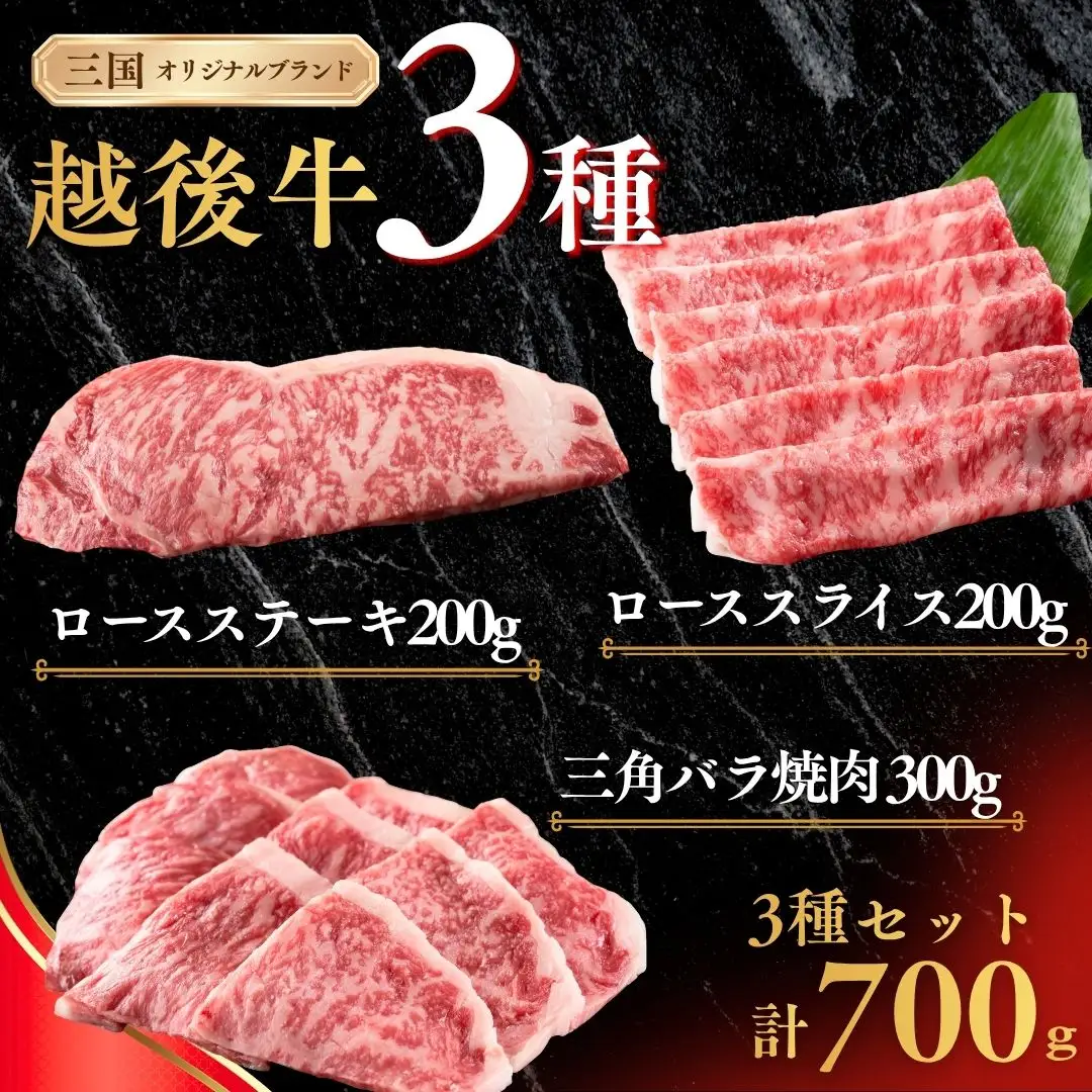 新潟 越後牛 3種  計700g 三国 | 冷凍 バラ肉 ロースステーキ ローススライス 新潟県 小千谷市