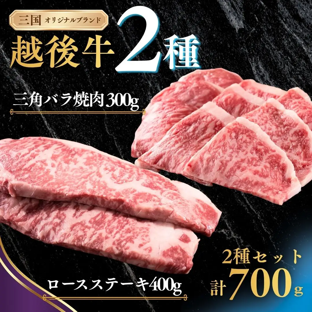 新潟 越後牛 2種  計700g 三国 | 冷凍 バラ肉 ロースステーキ 新潟県 小千谷市