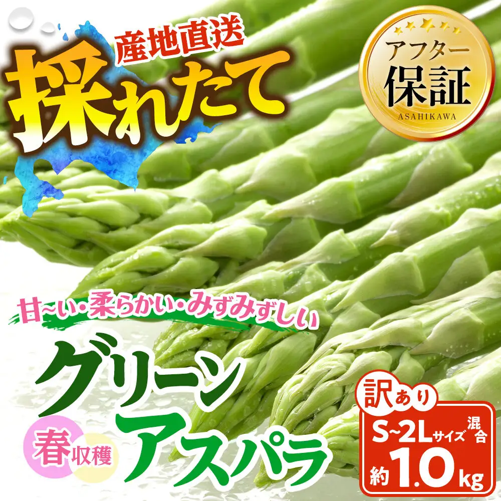 【訳あり】春収穫グリーンアスパラ S～2L混合サイズ 約1kg （2027年6月上旬から発送開始予定) 【 アスパラ アスパラガス 朝採り とれたて 野菜 旬 保存 産直 旭川市 北海道 】_05955