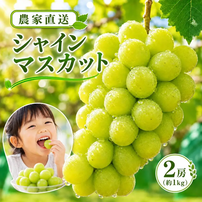 シャインマスカット 1kg【農家直送】| 仲田農園