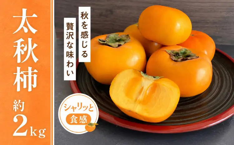 先行予約 柿 太秋柿 2kg くまふる宇城