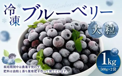 冷凍ブルーベリー 大粒 500g × 2 ブルーベリー フルーツ 果物 くだもの ベリー デザート おやつ 冷凍 【 2026年8月上旬発送開始 】