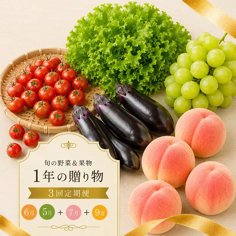 【定期便3回】 桃 シャインマスカット 夏野菜 野菜