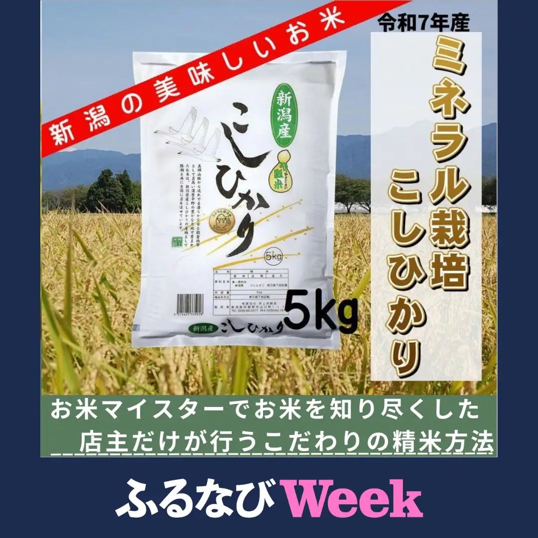 【ふるなびWEEK対象】【令和7年産】ミネラル栽培こしひかり 5kg 白米 精米 井上米穀店  新潟県 米 こめ コメ 1I01015