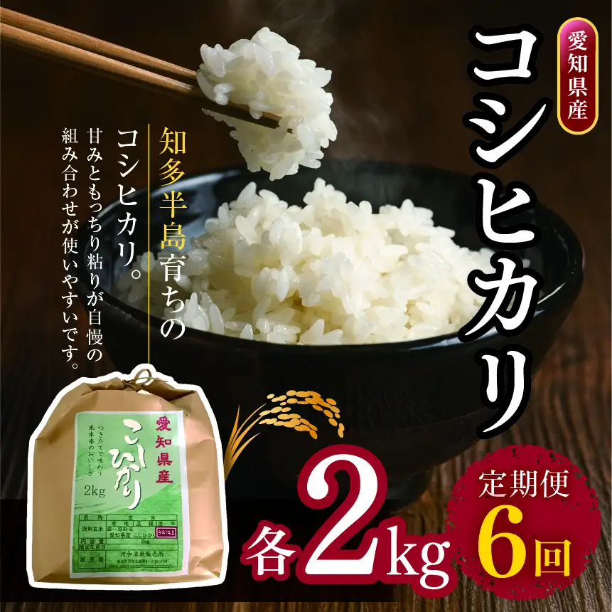 【定期便6回】愛知県産 コシヒカリ 2kg｜米