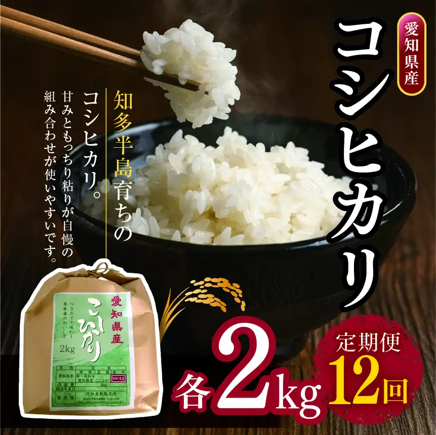 【定期便12回】愛知県産 コシヒカリ 2kg｜米