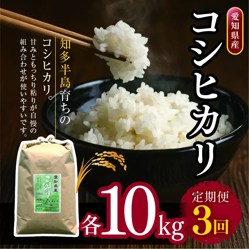 【定期便3回】愛知県産 コシヒカリ 10kg｜米