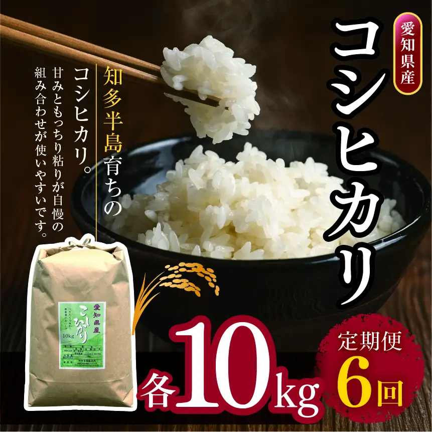 【定期便6回】愛知県産 コシヒカリ 10kg｜米