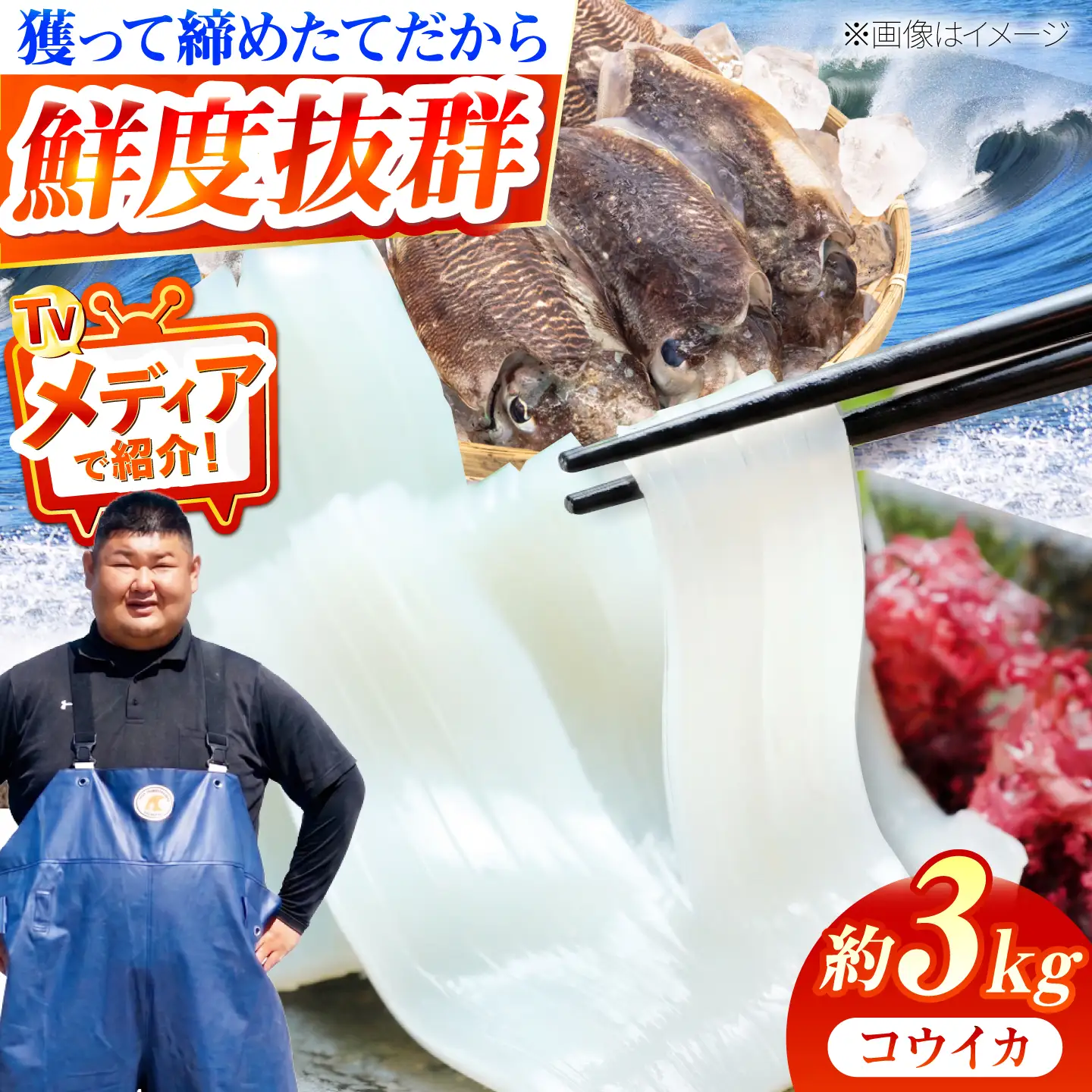【先行予約】コウイカ 約3kg (7〜15杯)【2027年3月下旬以降順次発送】《築上町》【明青丸】いか イカ 烏賊[ABCB008]