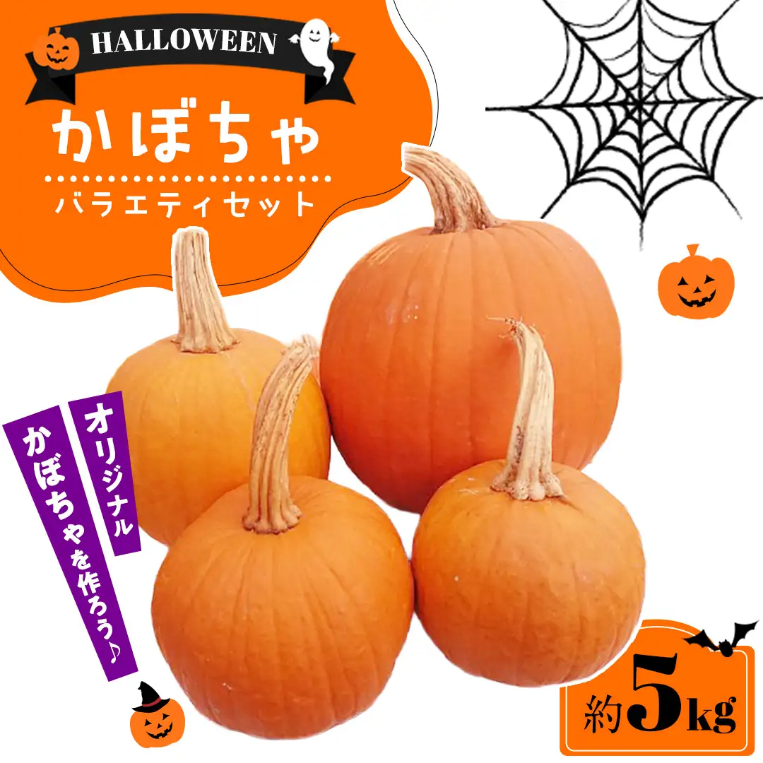 ハロウィンかぼちゃ バラエティセット 約5kg (CG002)