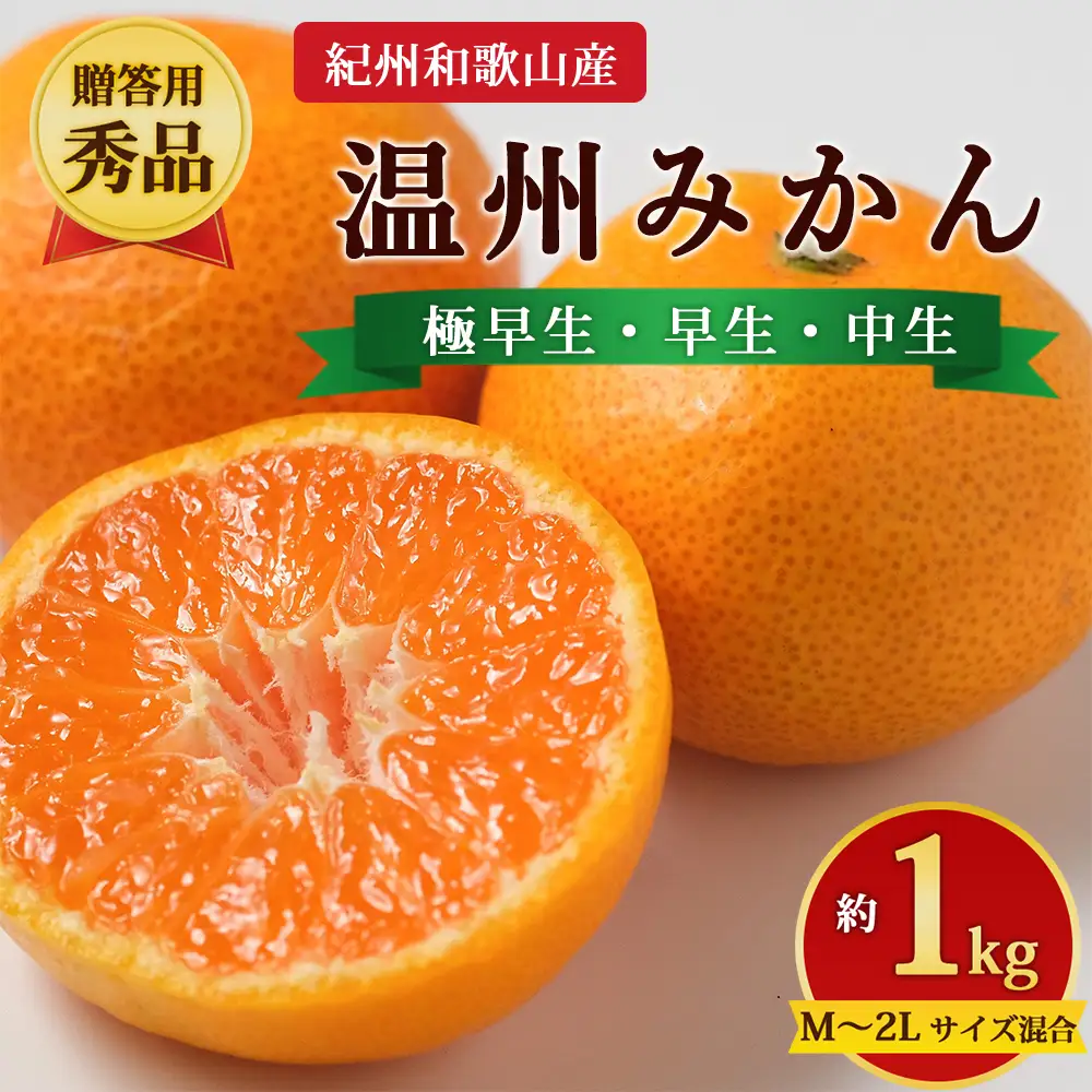 先行予約】【贈答用・秀品】紀州和歌山産 温州みかん 約1kg（箱込み）M
