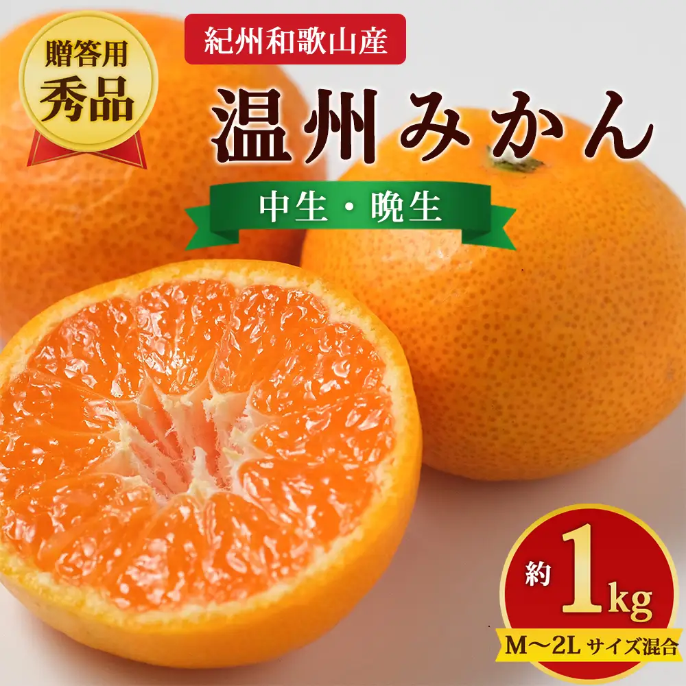 【先行予約】【贈答用・秀品】紀州和歌山産 温州みかん 約1kg（箱込み）M～2L サイズ混合（中生・晩生）