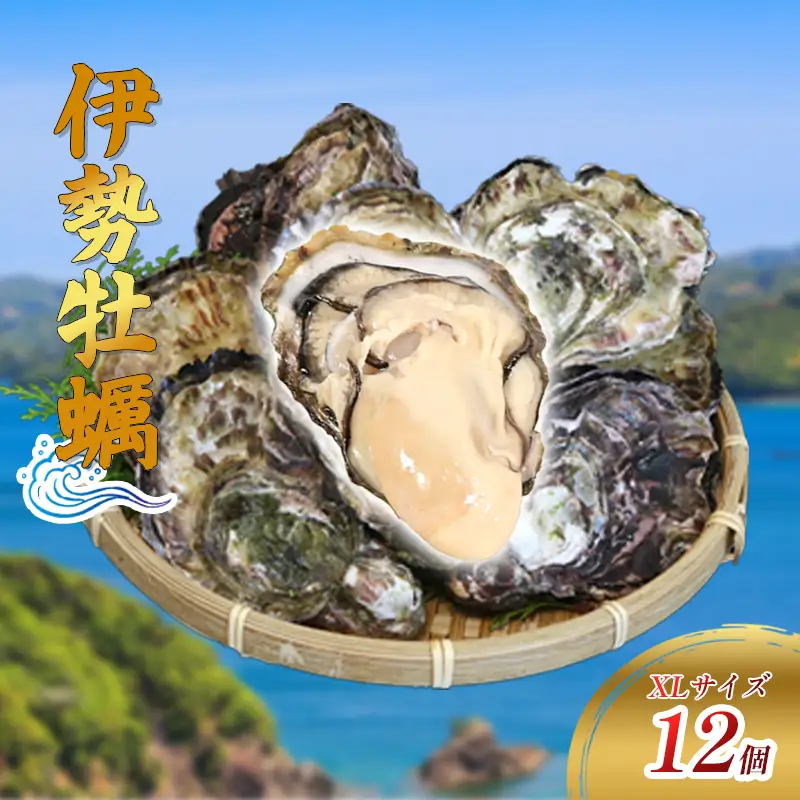 （冷蔵） Aコース 三倍体 伊勢牡蠣 XLサイズ 12個																																		 																																			