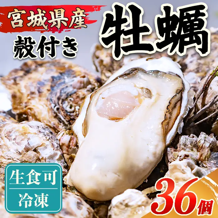 殻付き牡蠣（生食用）冷凍 36個（約3kg） 生牡蠣 宮城県産 牡蛎 牡蠣 カキ かき 生食 オイスター カキフライ 牡蠣鍋 海鮮 国産 魚貝類 バーベキュー BBQ 【末永海産株式会社】sh167