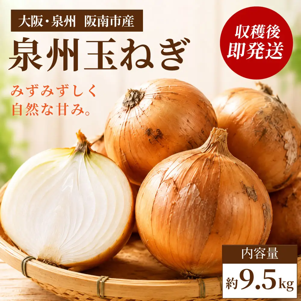 【味にこだわった新玉ねぎ】はたなかさんちの泉州玉ねぎ9.5Kg　