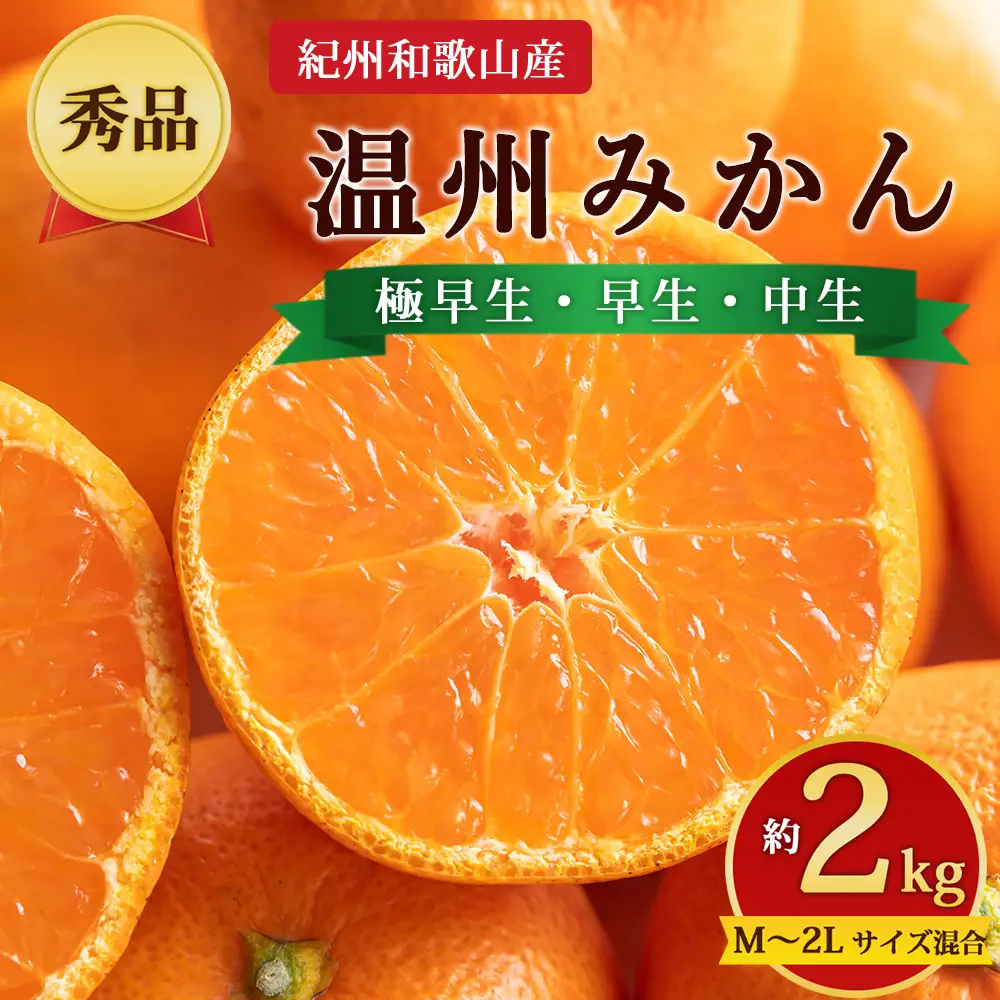 【先行予約】【秀品】紀州和歌山産 温州みかん 約2kg（箱込み） M～2L サイズ混合（極早生・早生・中生）