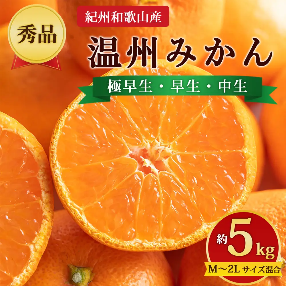 【先行予約】【秀品】紀州和歌山産 温州みかん 約5kg（箱込み） M～2L サイズ混合（極早生・早生・中生）
