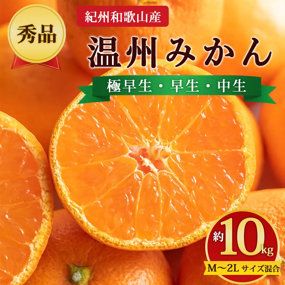【先行予約】【秀品】紀州和歌山産 温州みかん 約10kg（箱込み） M～2L サイズ混合（極早生・早生・中生）