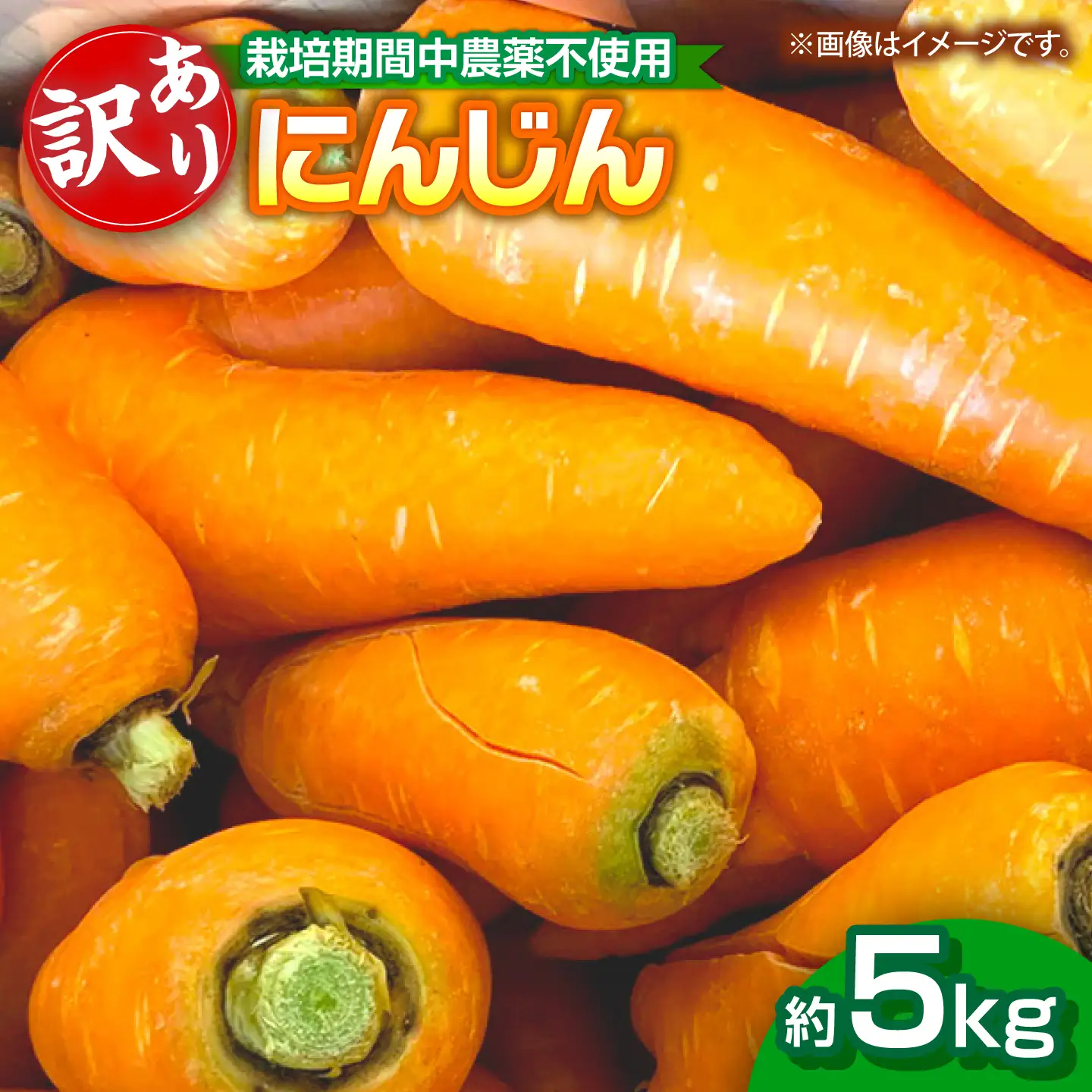 にんじん 5kg バラ詰め 訳あり / 稲沢市 / 人参 野菜 加工用 / 稲沢市 / 櫛田養鶏場[BMAY018]