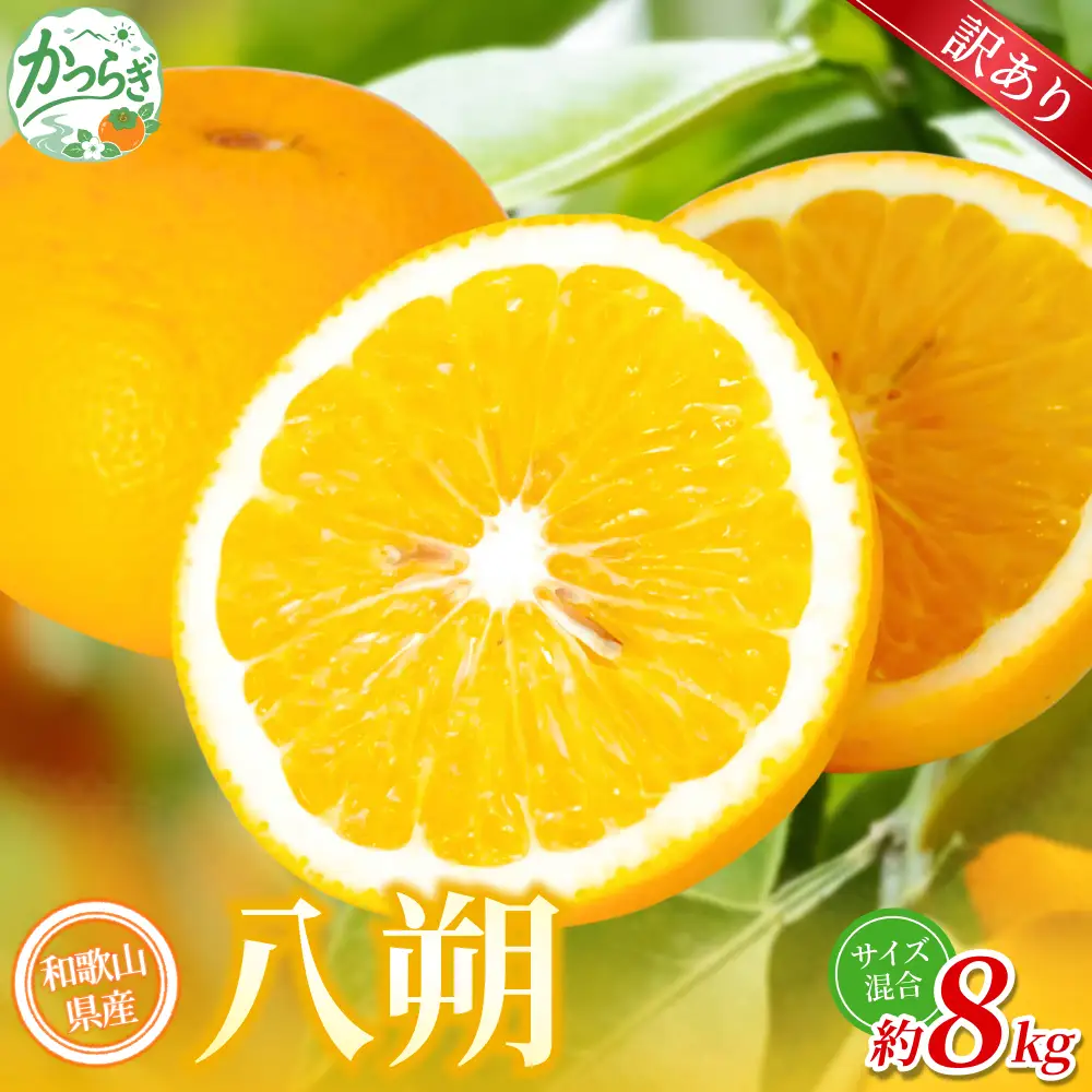 【訳あり】 森本農園の手選別 八朔 約8kg 和歌山県産 サイズ混合 【北海道・沖縄・離島配送不可】【2027年1月中旬～4月中旬頃に順次発送】【BV-mrmt134】 