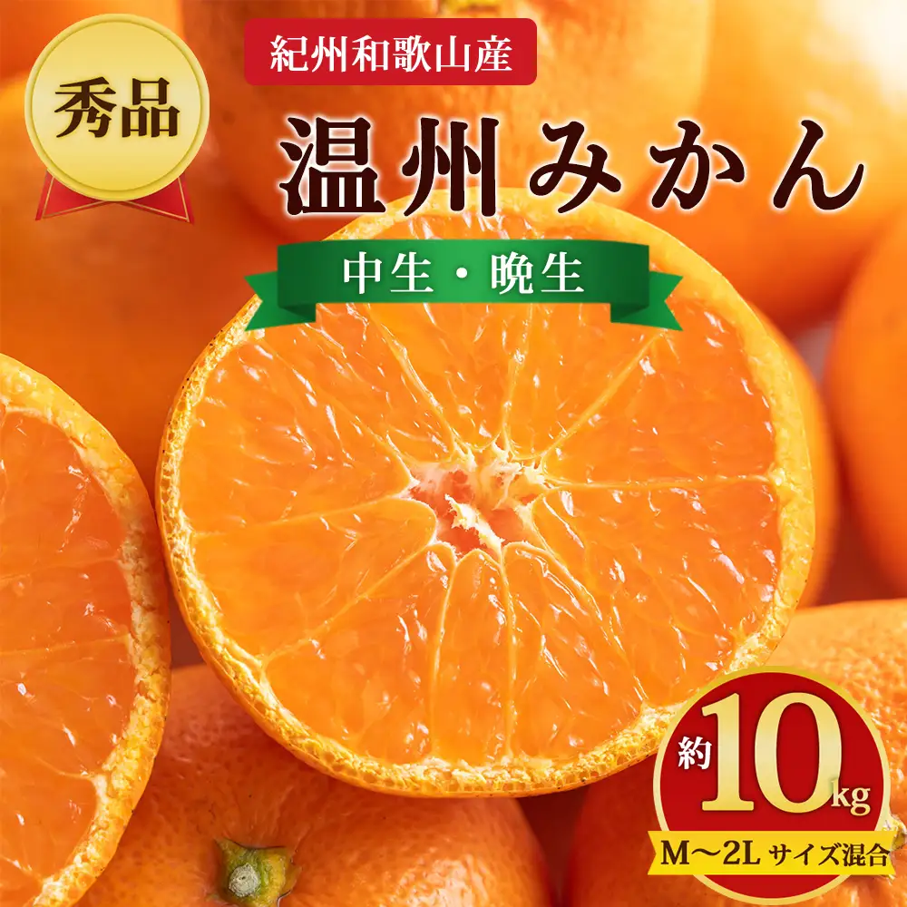 【先行予約】【秀品】紀州和歌山産 温州みかん 約10kg（箱込み） M～2L サイズ混合（中生・晩生）