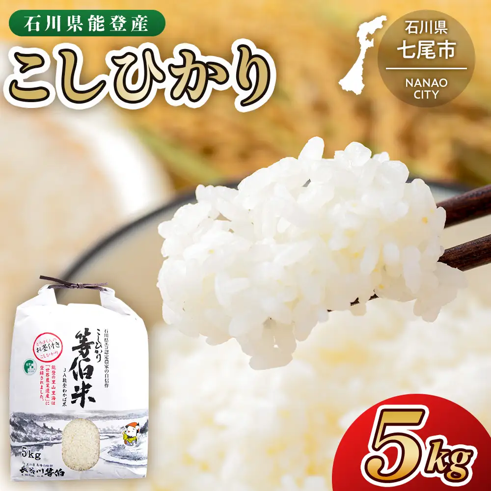 【令和8年産】等伯米コシヒカリ 5kg×1袋 ｜ 世界農業遺産に認定された『能登の里山里海』で育まれたお米 石川県 七尾市 能登 ※2026年10月～発送