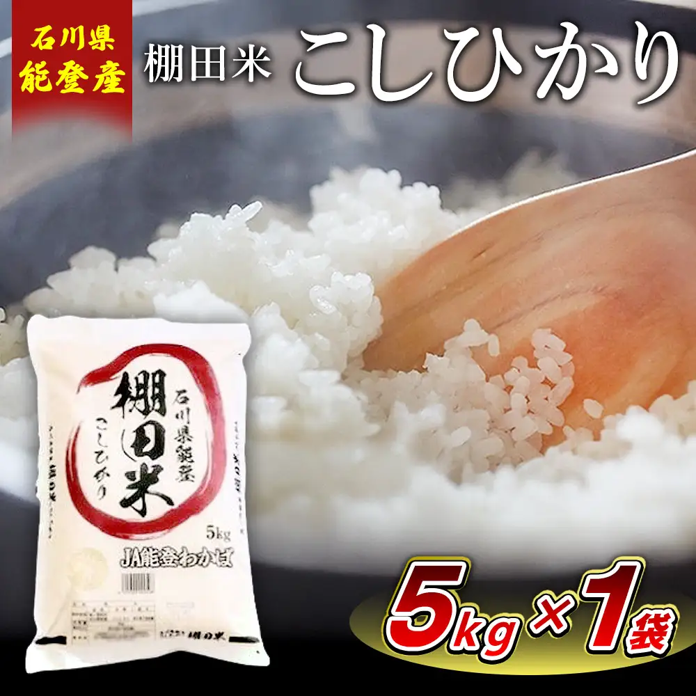 【令和8年産】棚田米コシヒカリ 5kg×1袋 ｜ 世界農業遺産に認定された『能登の里山里海』で育まれたお米 石川県 七尾市 能登 ※2026年10月～発送