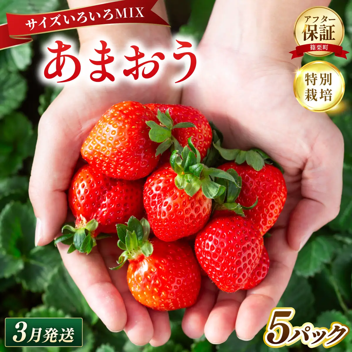 いちご 福岡県産 特別栽培 あまおう サイズいろいろMIX 約1425g（約285g×5パック）【3月発送】