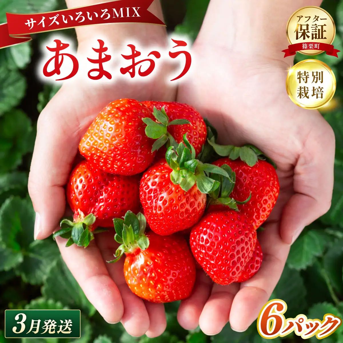 いちご 福岡県産 特別栽培 あまおう サイズいろいろMIX 約1710g（約285g×6パック）【3月発送】