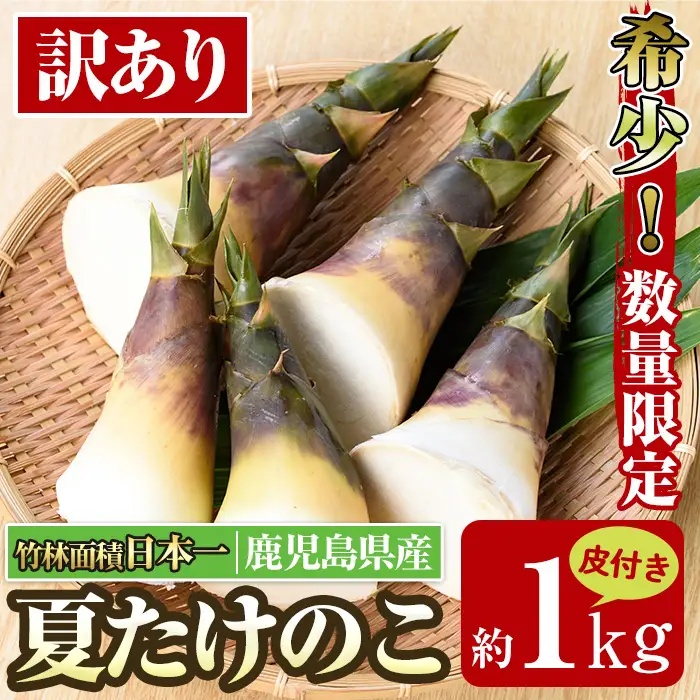 【先行予約】 訳あり 鹿児島県 出水市産 希少 高級食材 夏 たけのこ 皮付き 約1kg 【シンタク】 i1361