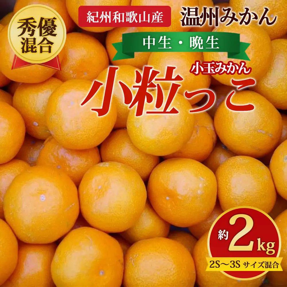 【先行予約】【秀優混合】紀州和歌山産 温州みかん「小粒っこ」約2kg（箱込み）2S～3S サイズ混合 小玉みかん（中生・晩生）