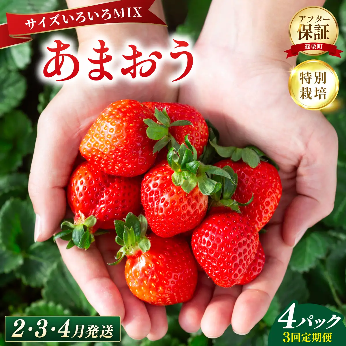 いちご 福岡県産 特別栽培 あまおう サイズいろいろMIX 約1140g（約285g×4パック）【3回定期便（2～4月発送）】