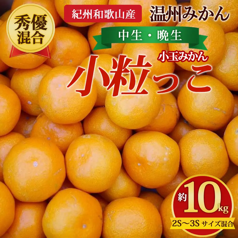 【先行予約】【秀優混合】紀州和歌山産 温州みかん「小粒っこ」約10kg（箱込み）2S～3S サイズ混合 小玉みかん（中生・晩生）