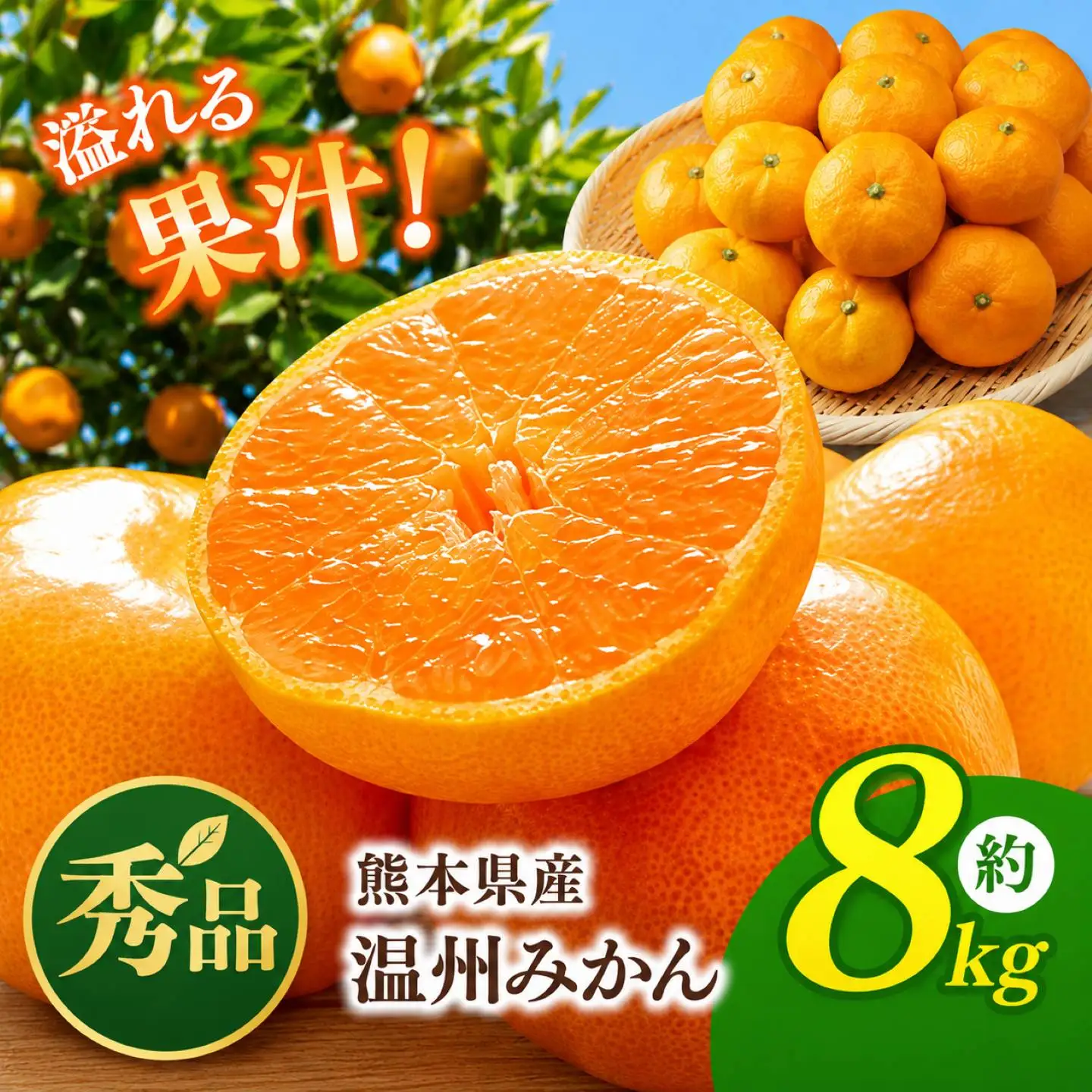熊本県産 温州 みかん 約 8kg
