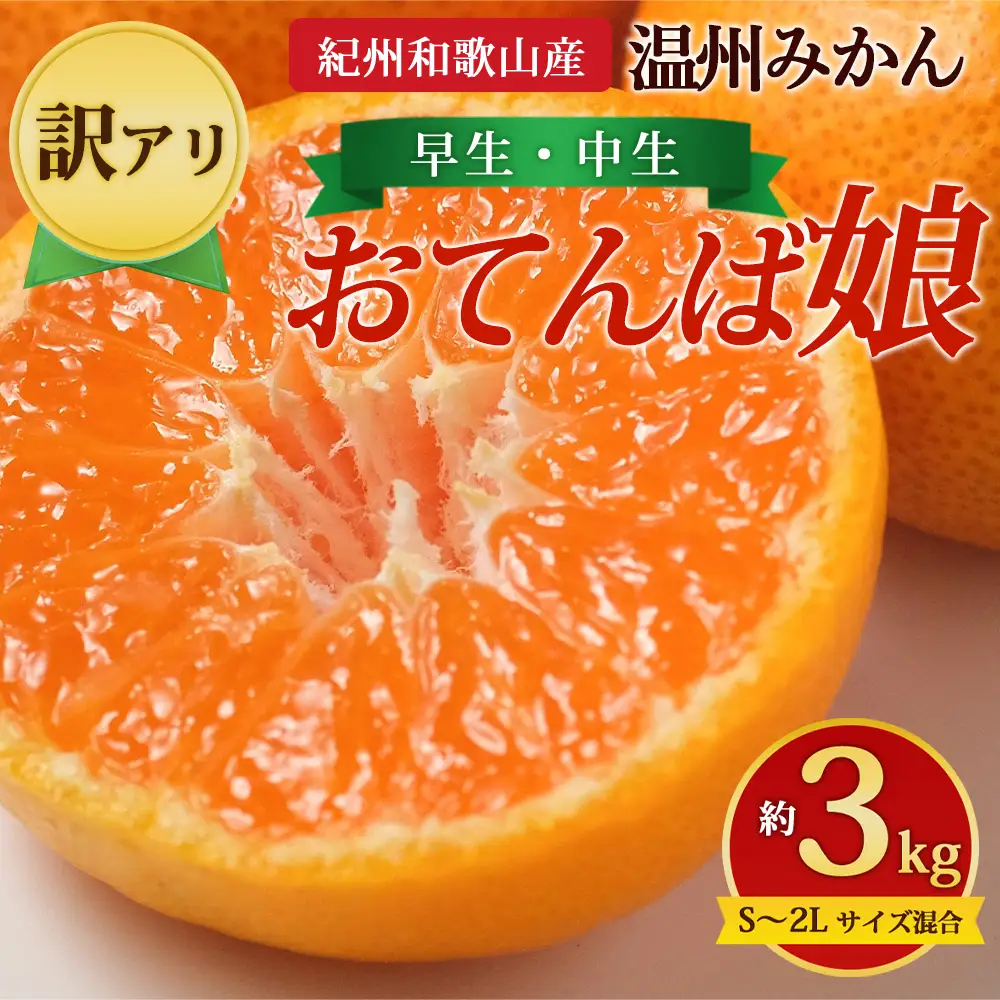 【先行予約】【訳あり】紀州和歌山産 温州みかん「おてんば娘」約3kg（箱込み）S～2L サイズ混合（早生・中生）