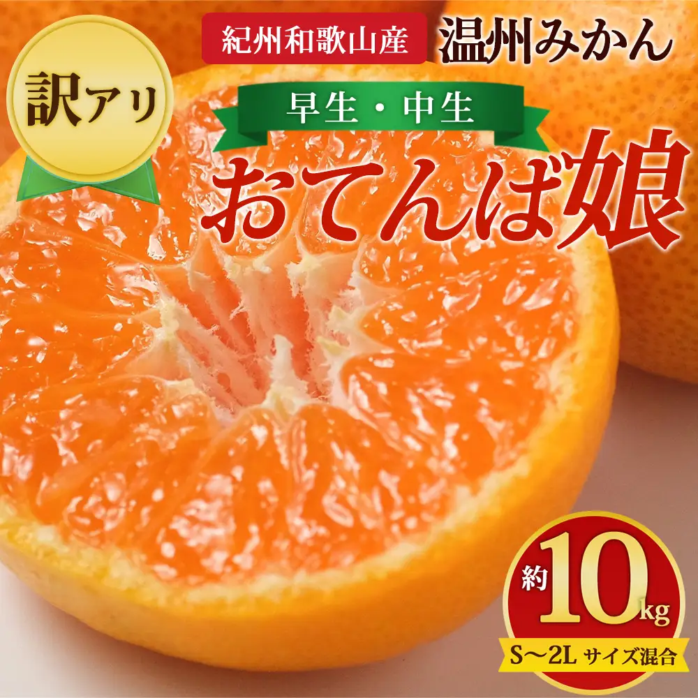 【先行予約】【訳あり】紀州和歌山産 温州みかん「おてんば娘」約10kg（箱込み）S～2L サイズ混合（早生・中生）
