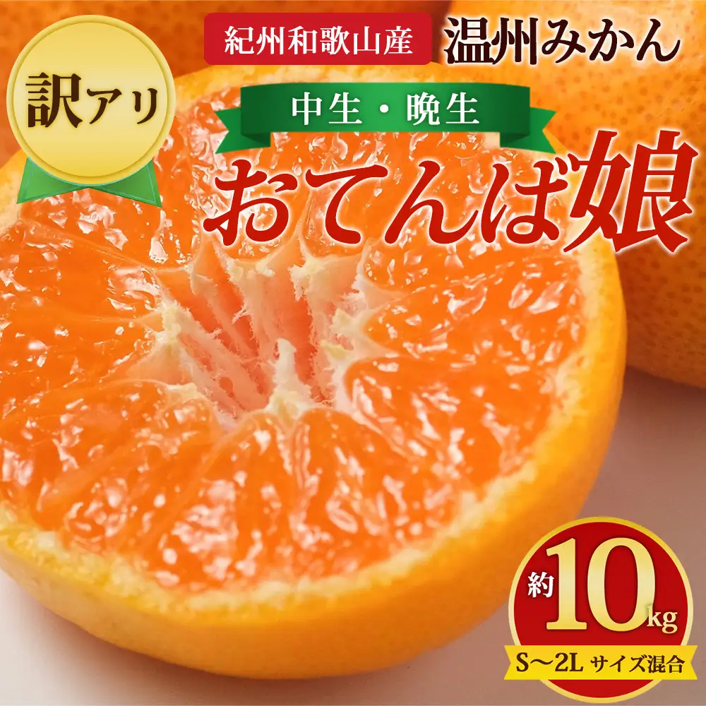 【先行予約】【訳あり】紀州和歌山産 温州みかん「おてんば娘」約10kg（箱込み）S～2L サイズ混合（中生・晩生）