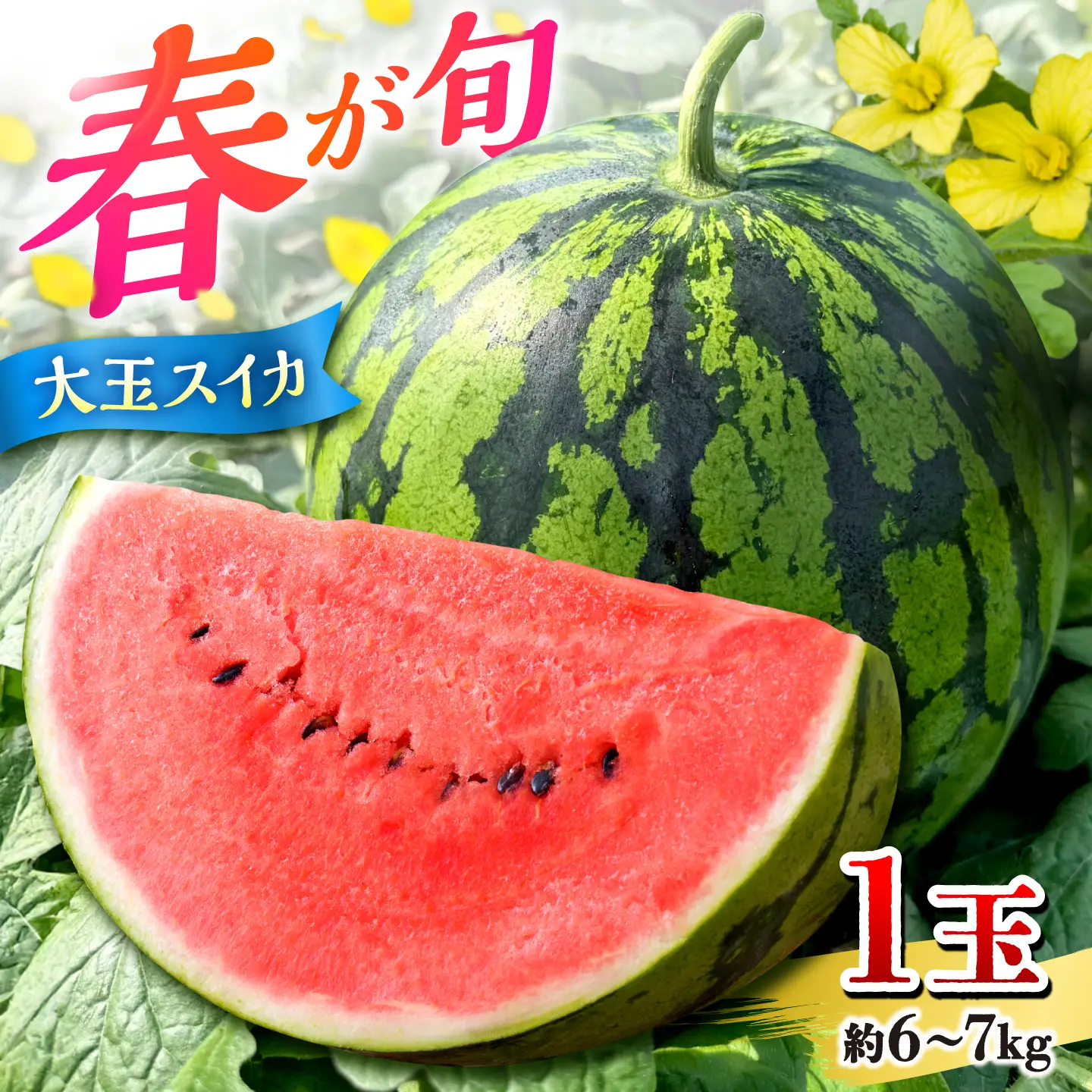 【先行予約】 春の大玉スイカ 約6～7kg（L） すいか 大玉 フルーツ 野菜 果物 山鹿市 【山下農園】[ZGA002]