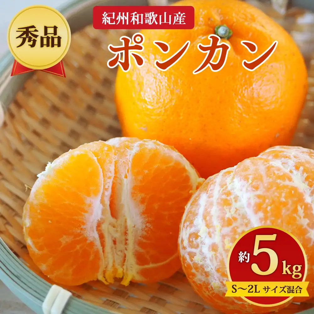 【先行予約】【秀品】紀州和歌山産 ポンカン 約5kg（箱込み）S～2L サイズ混合